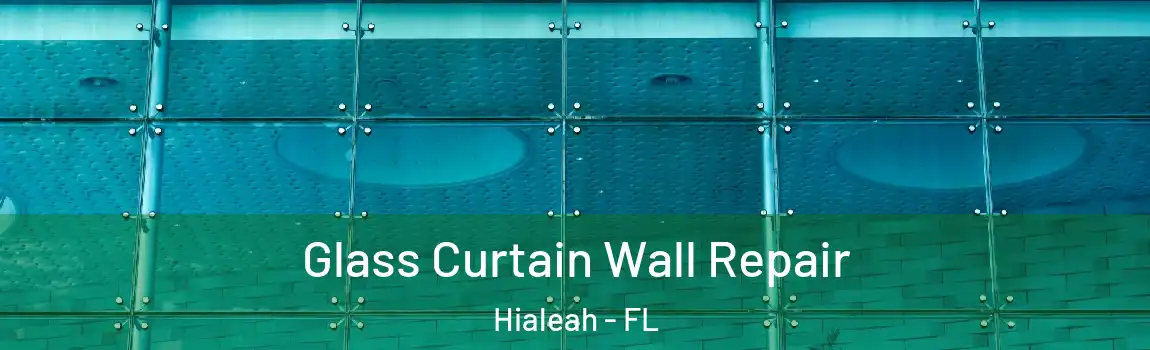 Glass Curtain Wall Repair Hialeah - FL