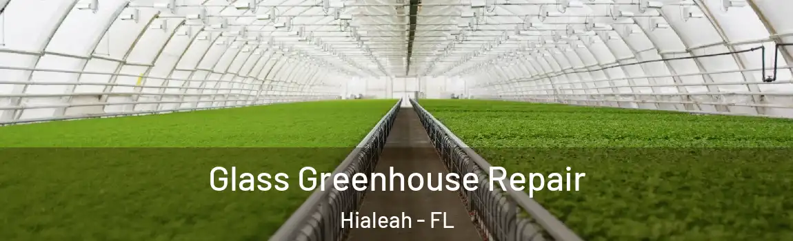 Glass Greenhouse Repair Hialeah - FL