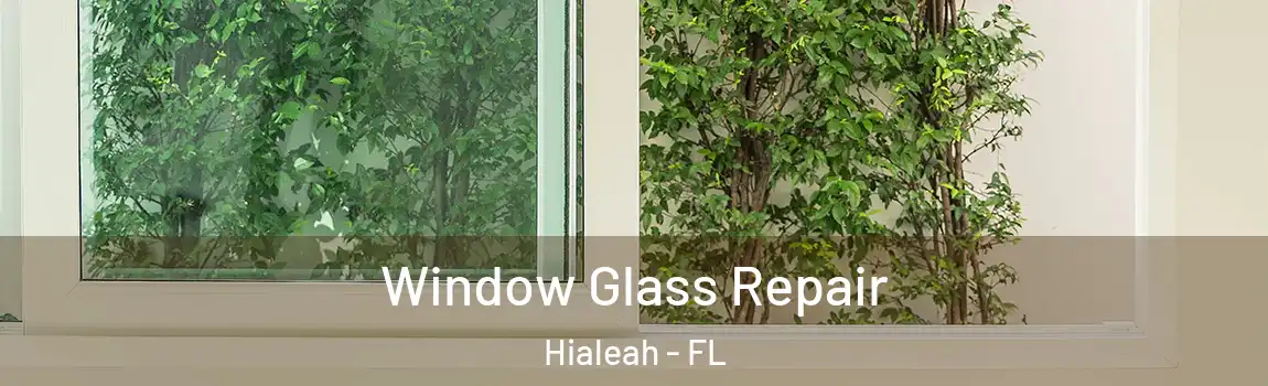 Window Glass Repair Hialeah - FL