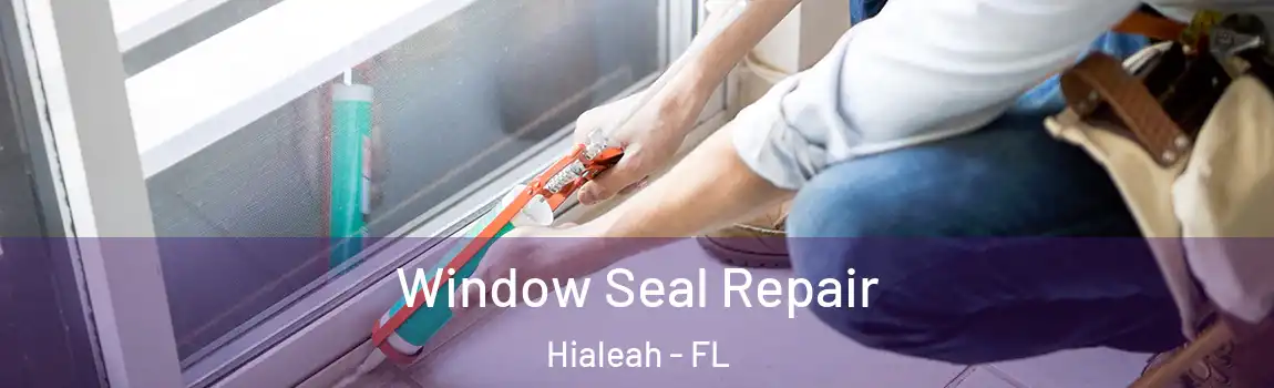 Window Seal Repair Hialeah - FL